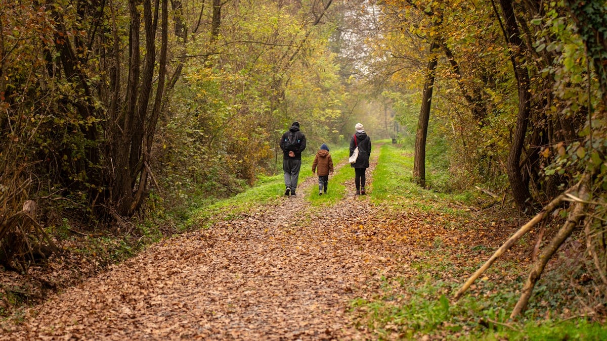 Family walking on a scenic autumn forest path in rural Croatia.